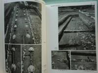 山田寺発掘調査報告　本文編・図版編 2冊揃