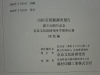 山田寺発掘調査報告　本文編・図版編 2冊揃