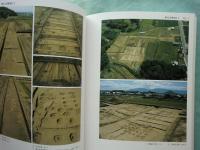 飛鳥・藤原宮発掘調査報告　1～5・附図　揃　　