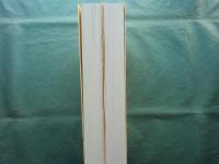 名勝旧大乗院庭園発掘調査報告　本文編 図版・資料編 2冊揃