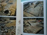 名勝旧大乗院庭園発掘調査報告　本文編 図版・資料編 2冊揃