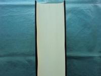 MIT認知科学大事典