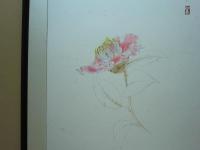 大野俶嵩素描集　花　特装本