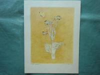 大野俶嵩素描集　花　特装本