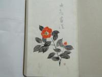 大観画談　特製本