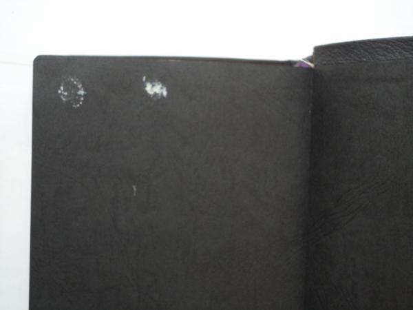 聖書 新共同訳 旧約聖書続編つき 革装 (NI59DCS)(共同訳聖書実行