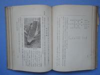 米國海軍の眞相　特製版
