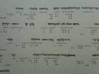 瑜伽師地論菩薩地 随法・究竟・次第瑜伽處　チベット仏典研究叢書 3