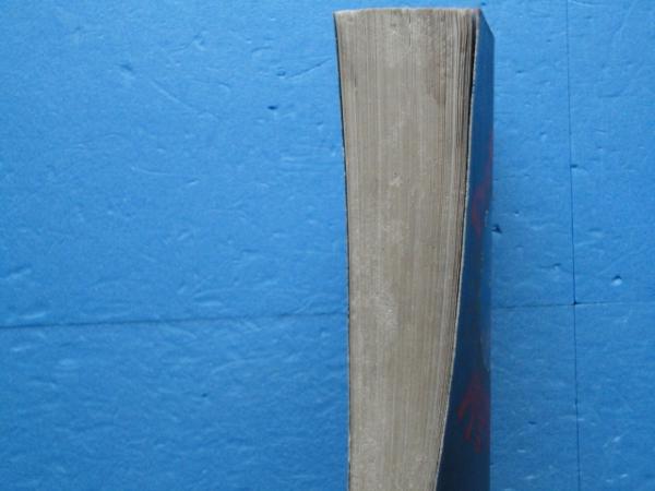 巴里上海歓楽郷案内(酒井 潔) / 古本、中古本、古書籍の通販は「日本の