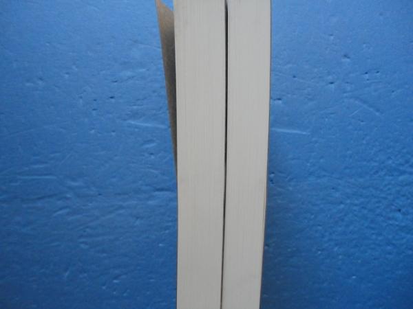 太霊道及霊子術講授録 上下巻 2冊揃(田中守平) / 古本、中古本、古書籍