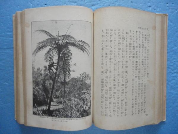 南洋遊記赤道を超えて附金融・経済事情 南洋遊記(鶴見祐輔) ⁄ 古本、中古本、古書籍の通販は「日本の古本屋