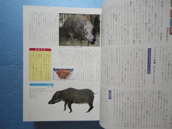 沖縄有毒害生物大事典 動物編(白井祥平) / 古本、中古本、古書籍の通販