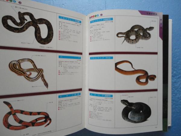 沖縄有毒害生物大事典 動物編(白井祥平) / 古本、中古本、古書籍の通販