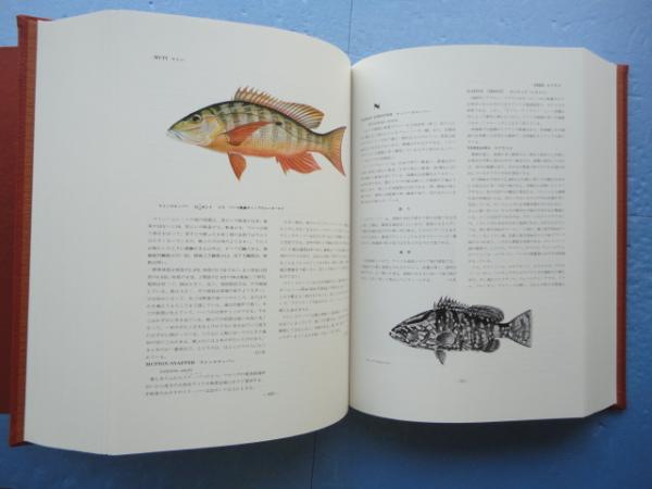 偉大な 世界釣り大観 日本編 本） 海外編 全2冊揃』（世界釣り大観 海外編 趣味・スポーツ・実用