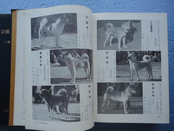 日本犬保存会創立五十周年史 上・下巻 2冊揃 / 古本、中古本、古書籍の 日本犬保存会創立五十周年史 上・下巻 2冊揃 / 古本、中古本、古書籍の