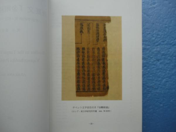発話者の言語ストラテジーとしてのネゴシエーション行為の研究 71BEQvF2pHL._UF350,350_QL50_.jpg