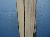 梵字搨鑑 悉曇種子聚刷毛書石彫 阿・吽2巻揃(愚空奝円) / 古本、中古本