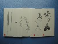 薬草術