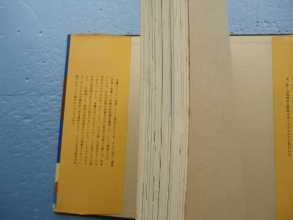 写真にみる日本洋装史(遠藤武 石山彰) / 古本、中古本、古書籍の