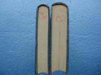 涅槃宗の研究　前篇・後篇 2冊揃