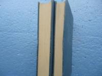 涅槃宗の研究　前篇・後篇 2冊揃