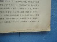 北海道に於ける主要農園芸蚜蟲類　北海道農事試験場報告第23号別刷