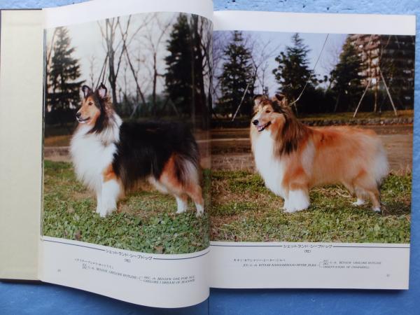 Wonderful Dogs In Japan 日本最高犬図鑑 ワンダフルドッグ イン ジャパン編集室編 松野書店 古本 中古本 古書籍の通販は 日本の古本屋 日本の古本屋 Wonderful Dogs In Japan 日本最高犬図鑑 ワンダフルドッグ イン ジャパン編集室編 松野書店 古本 中古本 古書籍の通販は 日本の古本屋 日本の古本屋