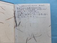 支那小説史