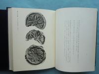四天王寺図録　古瓦編・伽藍編　2冊