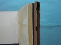大塩平八郎傳 (石崎東國) / 古本、中古本、古書籍の通販は「日本