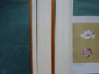 椿花図譜 宮内庁　上下巻 和装本 椿花図譜 宮内庁蔵本 解説共 全3冊揃(渡辺 武解説) / 古本、中古本、古