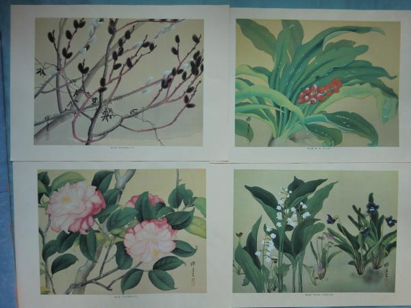 瑞月草花画譜(池田瑞月) / 古本、中古本、古書籍の通販は「日本の