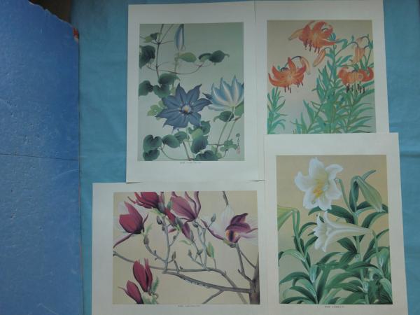 瑞月草花画譜(池田瑞月) / 古本、中古本、古書籍の通販は「日本の