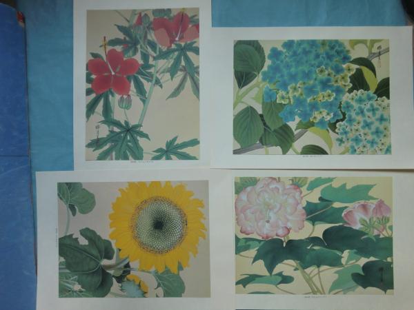 瑞月草花画譜(池田瑞月) / 古本、中古本、古書籍の通販は「日本の