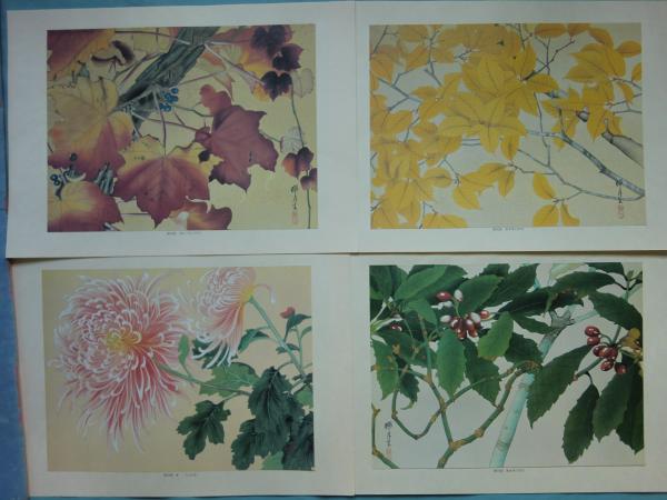 瑞月草花画譜(池田瑞月) / 古本、中古本、古書籍の通販は「日本の