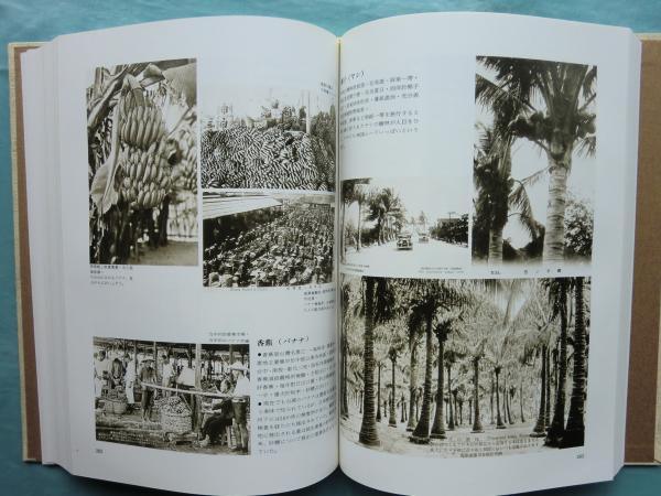 台湾懐旧 1895-1945 絵はがきが語る50年(松本暁美 謝森展編著) / 古本 