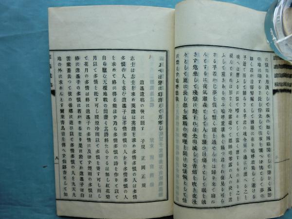 逍遥遺稿 正編・外編 2冊揃(中野重太郎著 宮本正貫・小柳司気太編