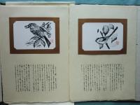 野鳥生態版画集