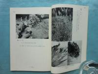 百万塔　第17号・第19号～第60号 別冊5冊 計48冊