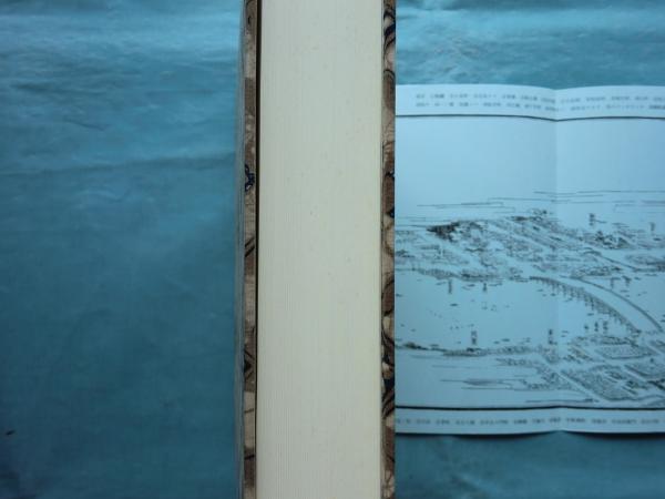 硯北日録 成島柳北日記(成島柳北自筆 前田愛解説) / 古本、中古