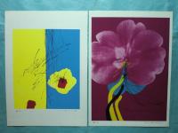 南 和好　シルクスクリーンオリジナル版画集 「花弁」　計10枚