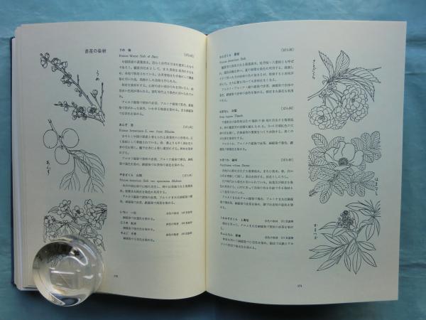 草木染日本の縞 草木染 日本の縞 山崎青樹 - 古本買取販売 ハモニカ古書店 建築