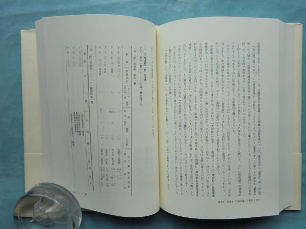 中国仏教石経の研究 房山雲居寺石経を中心に(氣賀澤保規編) / 松野書店