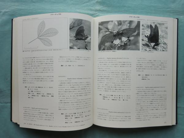 台湾産蝶類生態大図鑑(浜野栄次) / 古本、中古本、古書籍の通販は
