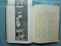 東洋美術論考　附図共　