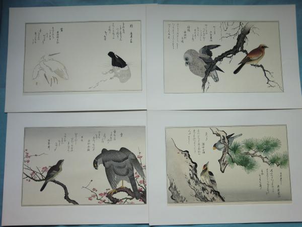 喜多川歌麿 絵本百千鳥(喜多川歌麿画 山口桂三郎解説) / 松野