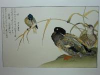 喜多川歌麿 絵本百千鳥