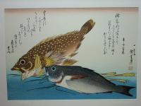 広重 魚づくし　永寿堂版・山庄版