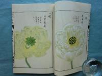 本草図譜　全6帙　全92冊+解説2冊・総索引　復刻版 ＋本草図譜総合解説　全4巻