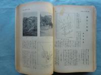 デルタ （地理教育雑誌） 創刊号（昭和12年10月）〜第2巻9号（昭和13年9月号） 12冊揃